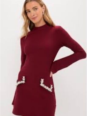 Long-Sleeve Burgundy Mock Neck Sweater Dress with Pocket Trim